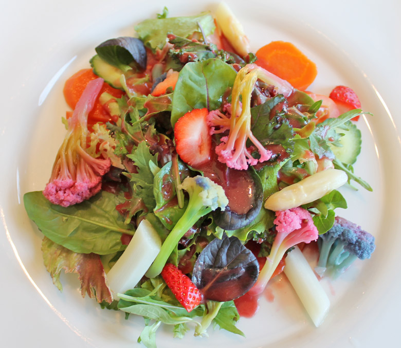 Vorspeise Frühlingssalat